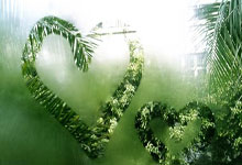 C7娱乐-里程碑夜辽宁本钢迎来里程碑，NBA季后赛加时末段刷纪录，管理层满意，训练强度明显提升的简单介绍